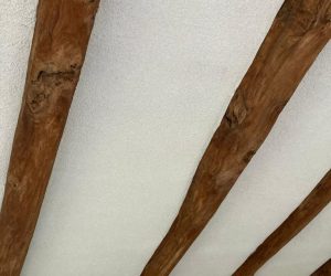 roof with timbers
